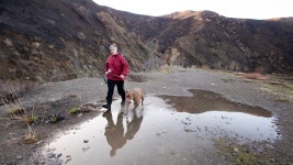 Incoming storm to bring plenty of rain to Southern California – Orange County Register Incoming storm to bring plenty of rain... 
