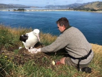 photo_1-02-17_11_08_22_am.jpg | Otago Daily Times Online News photo_1-02-17_11_08_22_am.jpg