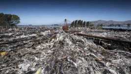 169-bromley-smell_fillwzg1nsw0odfd.jpg | Otago Daily Times Online News 169-bromley-smell_fillwzg1nsw0odfd.jpg