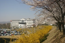 충청마당 > 포토갤러리 > 캠퍼스앨범 - 충청대학교 홈페이지