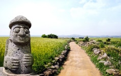 해피투어여행사