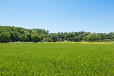 포천부동산 - OK114