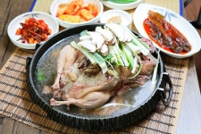 태백무지개송어장