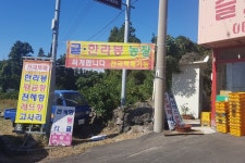 슬로비농수산물직판장 - OK114