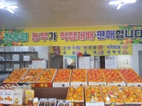 서귀포한농원농산물직판장 - OK114