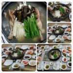 영월맛집박가네