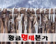 황금명태본가율하점 - OK114
