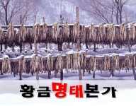 황금명태본가율하점 - OK114