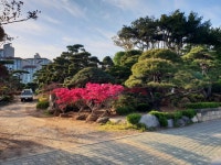 왕성수목원(조경)