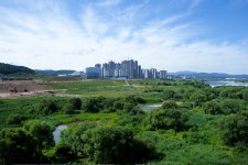 충남공인중개사사무소 - OK114