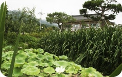 그린하우스펜션