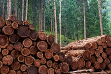 선경산업환경 - OK114