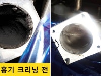 애니카랜드신동점