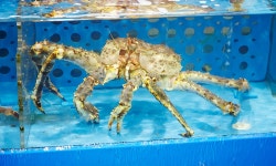 축석중고주방용품