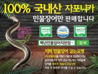 백년장어직판장 - OK114
