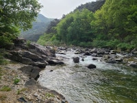 탁사정송어&힐링펜션