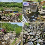 고향펜션민박 - OK114