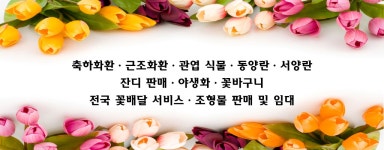 무지개꽃식물원