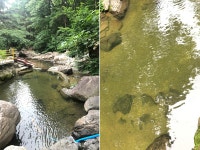 금오동천계곡식당