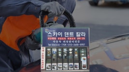 스카이덴트칼라