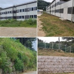 청림종합관리 청림종합관리 