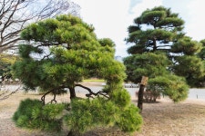 (주)대진건설/대진중기