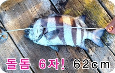 거문도샬롬민박,좌대낚시터