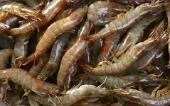 우리농수산물