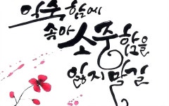 다미횟집본점 - OK114