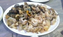 장어나라 - OK114