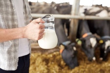 매일우유특판대리점