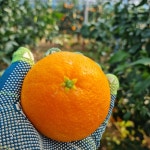 랑이준이네농장