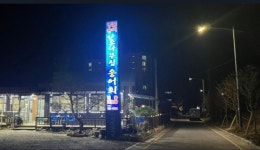 소나무집송어회