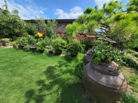 소나무황토펜션