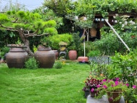 소나무황토펜션