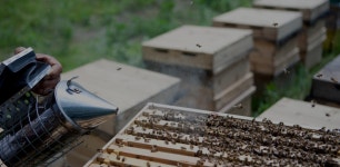 산천어꿀벌농장