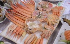독도게찜