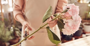 아침햇살플라워