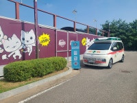 이엠에스천사