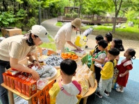 나비마을어린이집