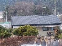 그린지붕