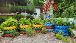 탁사정송어&힐링펜션