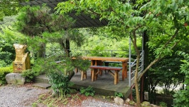 탁사정송어&힐링펜션