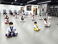 박사태권도