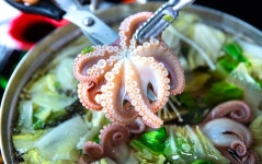 태경원조동경낙지