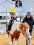 파랑새어린이집