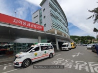 메디칼응급이송단 메디칼응급이송단 