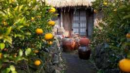 펜션수망가라 게시판 펜션수망가라