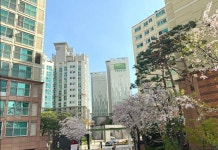 대우공인중개사사무소