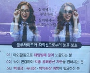 아이글라스안경